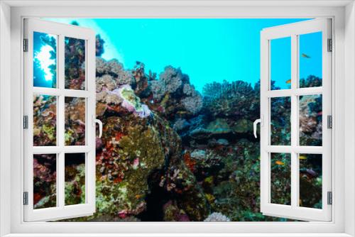 Fototapeta Naklejka Na Ścianę Okno 3D - Coral reefs of the Red Sea, Egypt