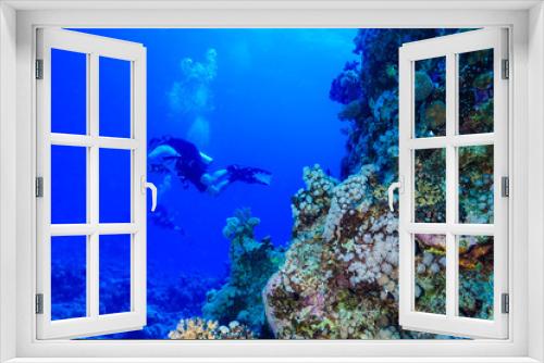 Fototapeta Naklejka Na Ścianę Okno 3D - Diving the Red Sea, Egypt