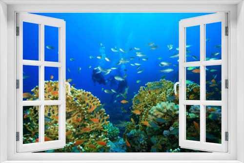 Fototapeta Naklejka Na Ścianę Okno 3D - Scuba Diving on a Coral Reef