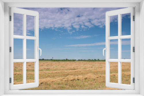 Fototapeta Naklejka Na Ścianę Okno 3D - field and blue sky in Ukraine