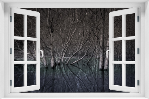 Fototapeta Naklejka Na Ścianę Okno 3D - Trees in a swamp