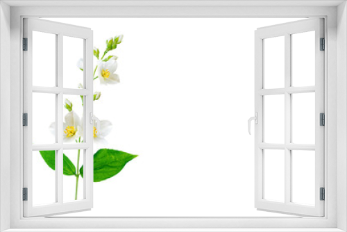 Fototapeta Naklejka Na Ścianę Okno 3D - branch of jasmine flowers isolated on white background.