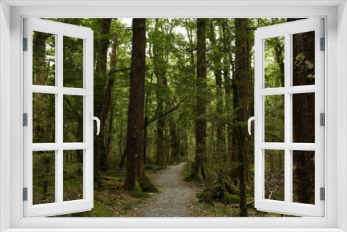 Fototapeta Naklejka Na Ścianę Okno 3D - Trekking way in the forest of Routeburn Track, New Zealand, South Island