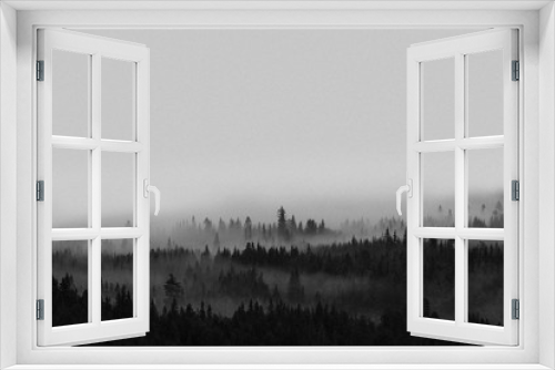 Fototapeta Naklejka Na Ścianę Okno 3D - View of the misty woods in Norway