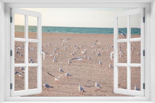 Fototapeta Naklejka Na Ścianę Okno 3D - A flock of seagulls flying into the water