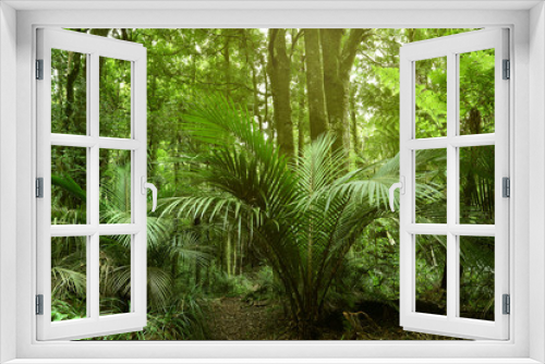 Fototapeta Naklejka Na Ścianę Okno 3D - Tropical jungle greenery forest