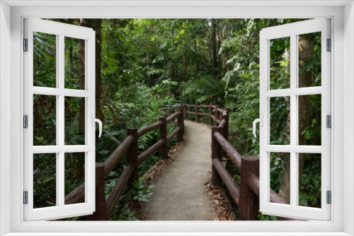 Fototapeta Naklejka Na Ścianę Okno 3D - wooden bridge in forest