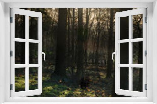 Fototapeta Naklejka Na Ścianę Okno 3D - Winter Woodland Landscape
