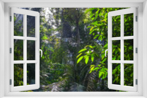 Fototapeta Naklejka Na Ścianę Okno 3D - Jungle landscape Taman Negara national park, Malaysia
