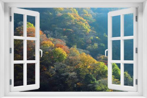 Fototapeta Naklejka Na Ścianę Okno 3D - 秋の奥多摩湖