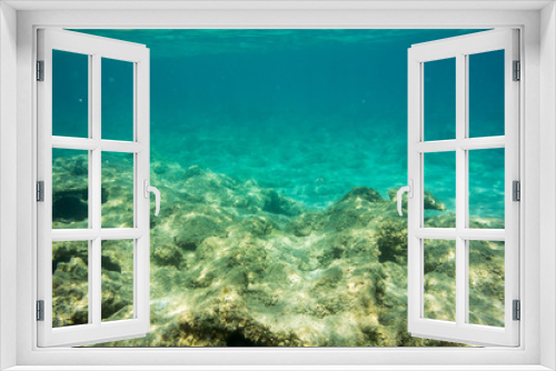 Fototapeta Naklejka Na Ścianę Okno 3D - Underwater texture and fauna in Ionian sea, Zakynthos, Greece