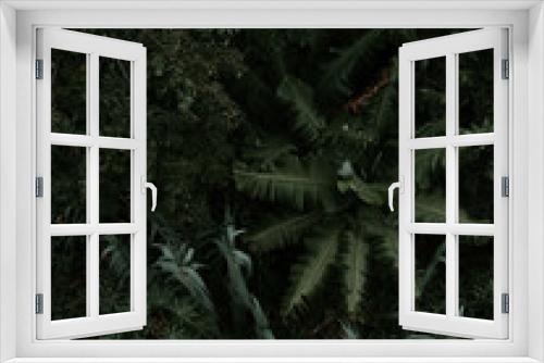 Fototapeta Naklejka Na Ścianę Okno 3D - BOSQUE TOMA AÉREA
