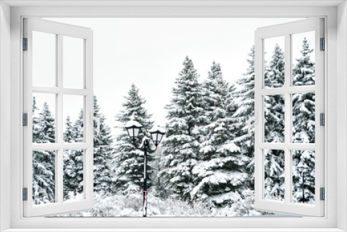 Fototapeta Naklejka Na Ścianę Okno 3D - Snow-covered spruce