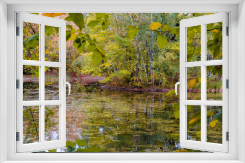 Fototapeta Naklejka Na Ścianę Okno 3D - Autumn pond in the park