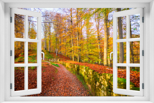 Fototapeta Naklejka Na Ścianę Okno 3D - Autumn landscape at Sarmisegetusa , Romania