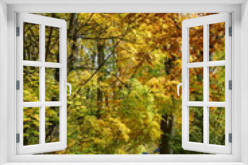 Fototapeta Naklejka Na Ścianę Okno 3D - Herbstszene mit Bach in Baden bei Wien