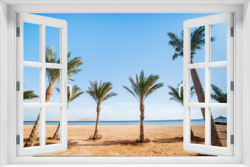 Fototapeta Naklejka Na Ścianę Okno 3D - ocean beach  with row palms on horizon