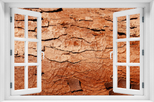 Fototapeta Naklejka Na Ścianę Okno 3D - Old tree bark texture. Nature wood background. Texture pattern of old figured cracked bark.
