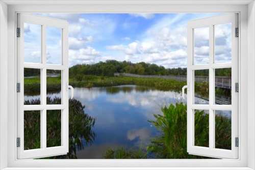 Fototapeta Naklejka Na Ścianę Okno 3D - The Wetlands