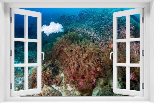 Fototapeta Naklejka Na Ścianę Okno 3D - Plastic Pollution - a plastic bag floating next to a tropical coral reef in Asia
