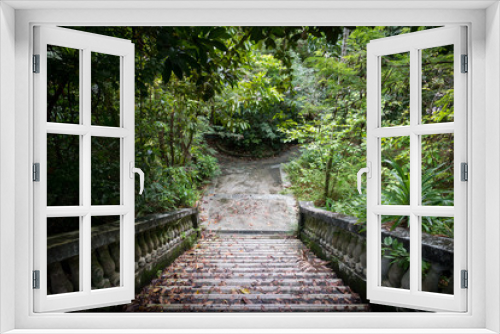 Fototapeta Naklejka Na Ścianę Okno 3D - Overgrown Jungle Steps, a Mysterious Cement Path in Sentosa Island, Singapore
