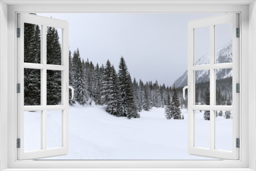 Fototapeta Naklejka Na Ścianę Okno 3D - Forest in mountains, winter landscape