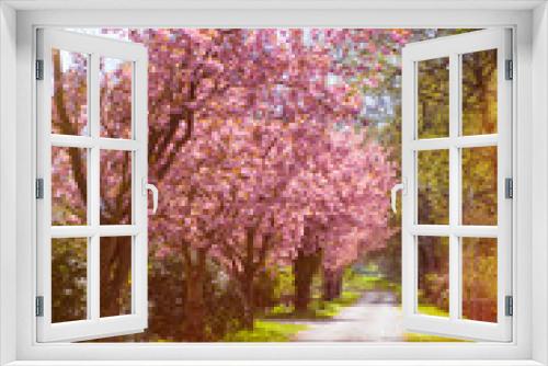 Fototapeta Naklejka Na Ścianę Okno 3D - springtime