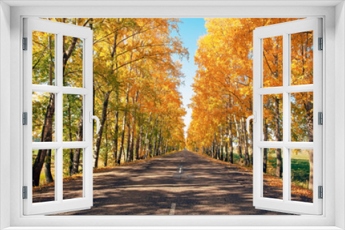 Fototapeta Naklejka Na Ścianę Okno 3D - beautiful landscape of autumn road, on the edge of the road picturesque autumn forest with bright yellow foliage and blue sky