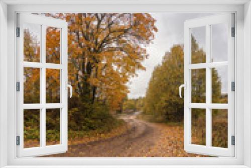 Fototapeta Naklejka Na Ścianę Okno 3D - Huge autumn maple