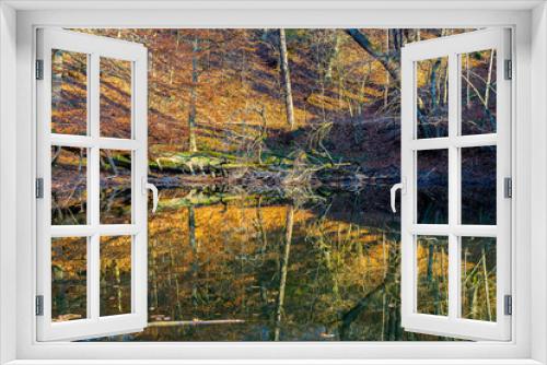 Fototapeta Naklejka Na Ścianę Okno 3D - Beautiful fall nature landscape of reflecting trees in silent lake water