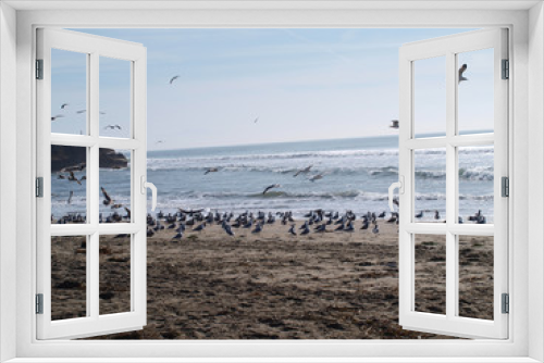 Fototapeta Naklejka Na Ścianę Okno 3D - Birds Beach