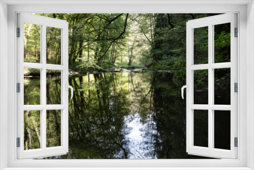 Fototapeta Naklejka Na Ścianę Okno 3D - Schöner idyllischer Flusslauf im Wald, Waldnaabtal, Waldnaab