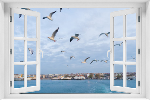 Fototapeta Naklejka Na Ścianę Okno 3D - seagulls in the sky in the background