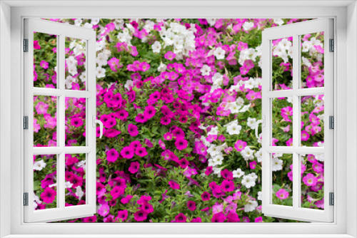 Fototapeta Naklejka Na Ścianę Okno 3D - Background of flowers