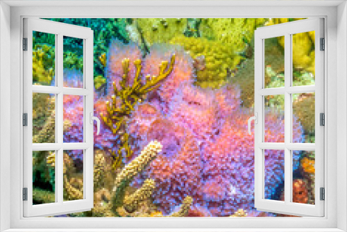 Fototapeta Naklejka Na Ścianę Okno 3D - Azure vase sponge
