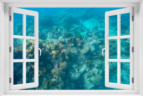 Fototapeta Naklejka Na Ścianę Okno 3D - Great barrier reef, Australia