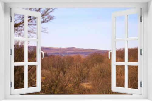 Fototapeta Naklejka Na Ścianę Okno 3D - tree top view