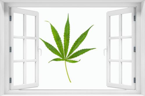 Fototapeta Naklejka Na Ścianę Okno 3D - The marijuana, marihuana, Indian hemp, leave plant on the white background.