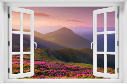 Fototapeta Naklejka Na Ścianę Okno 3D - Mountains during flowers blossom and sunrise. Flowers on mountain hills. Natural landscape at the summer time. Mountains range. Mountain - image