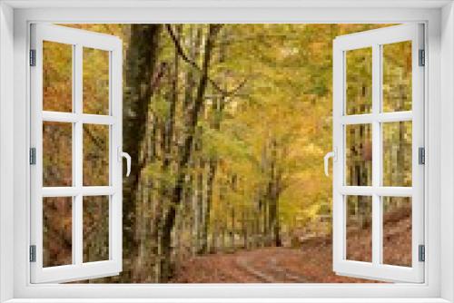 Fototapeta Naklejka Na Ścianę Okno 3D - Colori d'autunno