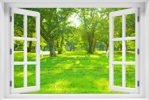Fototapeta Naklejka Na Ścianę Okno 3D - sunshine garden