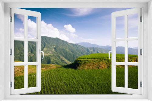 Fototapeta Naklejka Na Ścianę Okno 3D - Longshen rice terraces landscape China