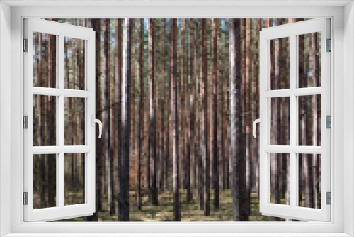 Fototapeta Naklejka Na Ścianę Okno 3D - Forest seen in early spring
