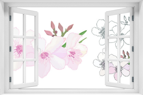 Fototapeta Naklejka Na Ścianę Okno 3D - Set of Floral composition with branch of delicate pink and black and white blooming flowers, buds and leaves isolated on white background. Tropical flowers oleander, exotic Nerium. Vector illustration