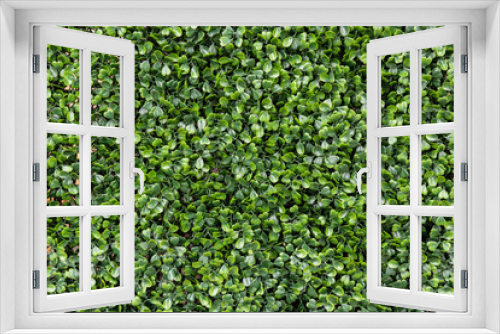 Fototapeta Naklejka Na Ścianę Okno 3D - Green plastic grass background for graphic design