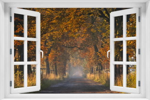 Fototapeta Naklejka Na Ścianę Okno 3D - Autumn pathway