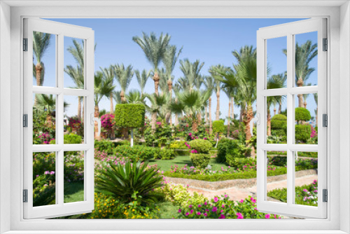 Fototapeta Naklejka Na Ścianę Okno 3D - Garden Landscaping Design with trees, shrubs and flowers in Egypt