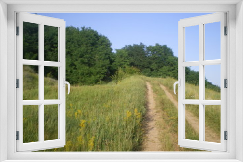 Fototapeta Naklejka Na Ścianę Okno 3D - green grass in the meadow and a dirt road to the forest on the hill. warm sunny summer day. landscape Ukraine