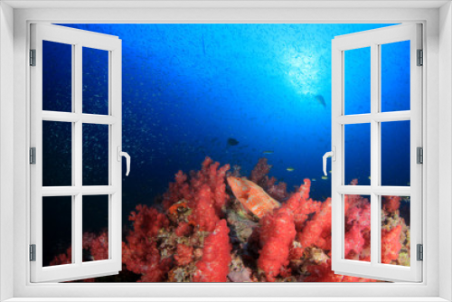Fototapeta Naklejka Na Ścianę Okno 3D - Underwater coral reef and fish 