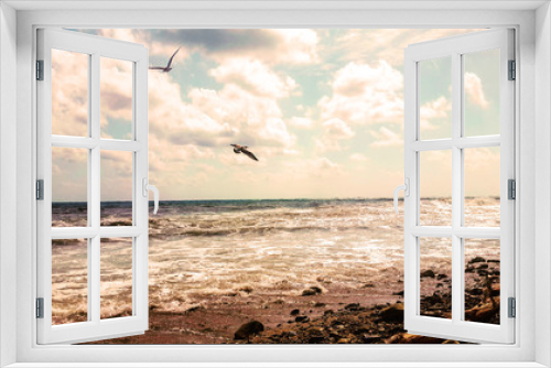 Fototapeta Naklejka Na Ścianę Okno 3D - birds flying over sea at sunset